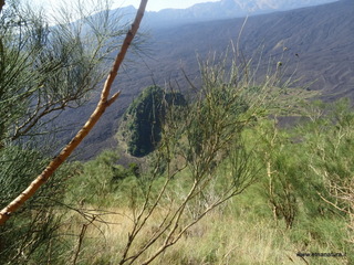 nte Rinatu-15-09-2019 11-06-00